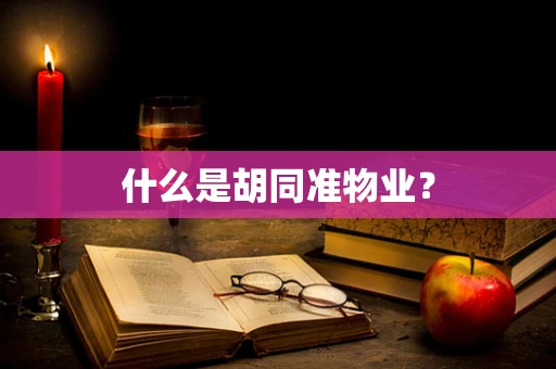 什么是胡同准物业？