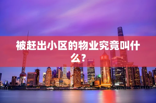 被赶出小区的物业究竟叫什么？