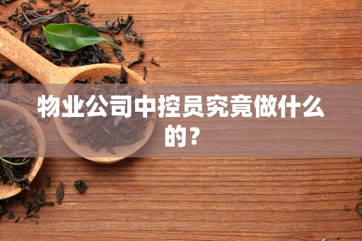 物业公司中控员究竟做什么的？