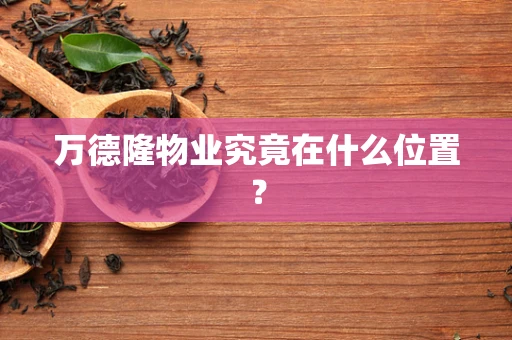 万德隆物业究竟在什么位置？