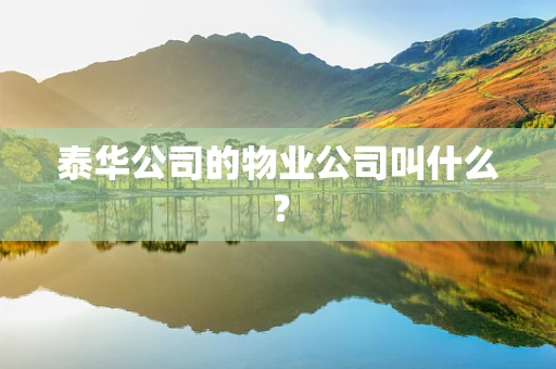泰华公司的物业公司叫什么？
