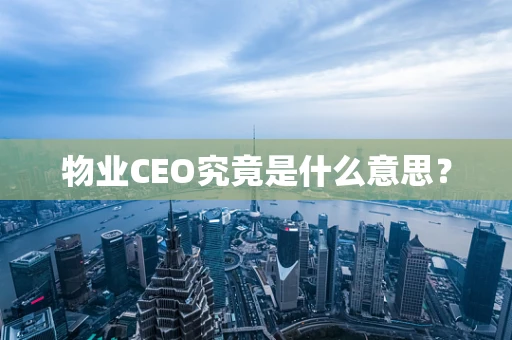 物业CEO究竟是什么意思？