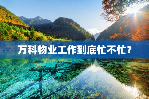 万科物业工作到底忙不忙？