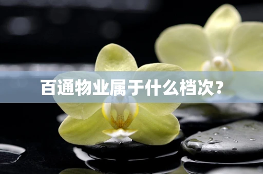 百通物业属于什么档次？