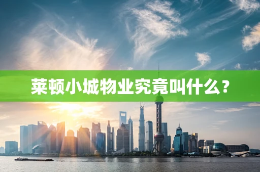 莱顿小城物业究竟叫什么？