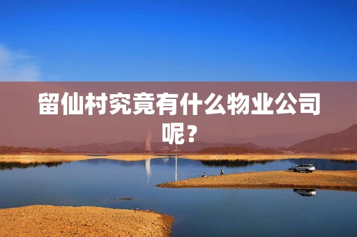 留仙村究竟有什么物业公司呢？