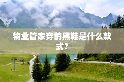 物业管家穿的黑鞋是什么款式？
