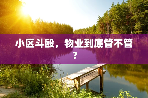 小区斗殴，物业到底管不管？