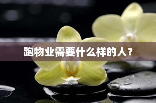 跑物业需要什么样的人？