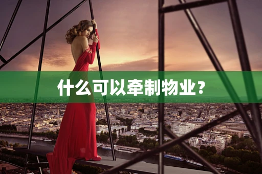 什么可以牵制物业？
