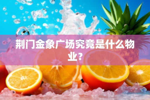 荆门金象广场究竟是什么物业？