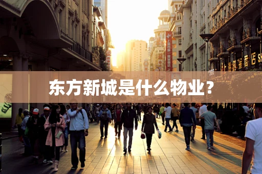 东方新城是什么物业？