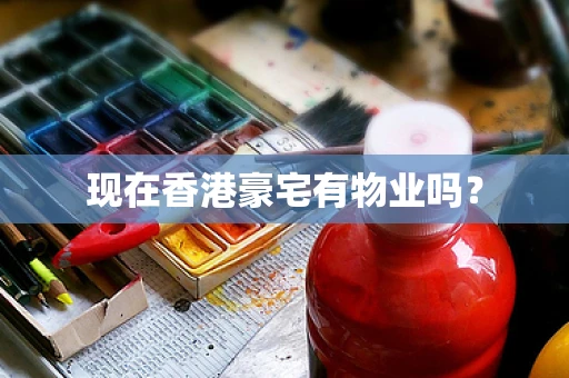 现在香港豪宅有物业吗？