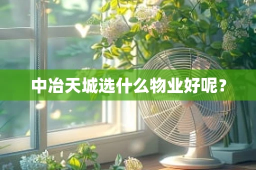 中冶天城选什么物业好呢？