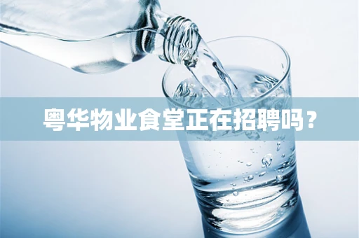 粤华物业食堂正在招聘吗？