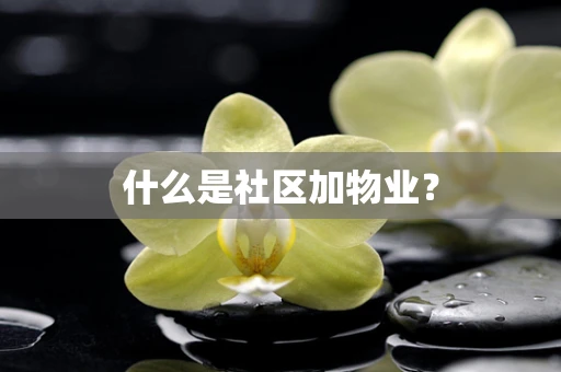 什么是社区加物业？