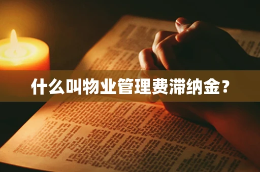 什么叫物业管理费滞纳金？
