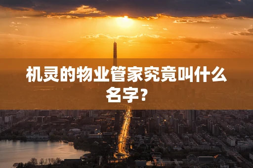机灵的物业管家究竟叫什么名字？