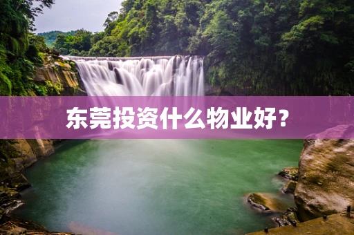 东莞投资什么物业好？