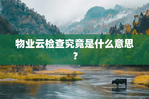 物业云检查究竟是什么意思？