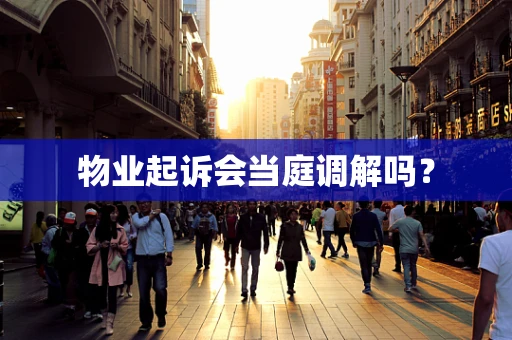 物业起诉会当庭调解吗？