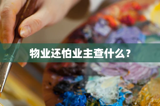 物业还怕业主查什么？