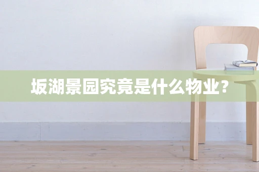 坂湖景园究竟是什么物业？