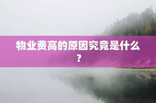 物业费高的原因究竟是什么？