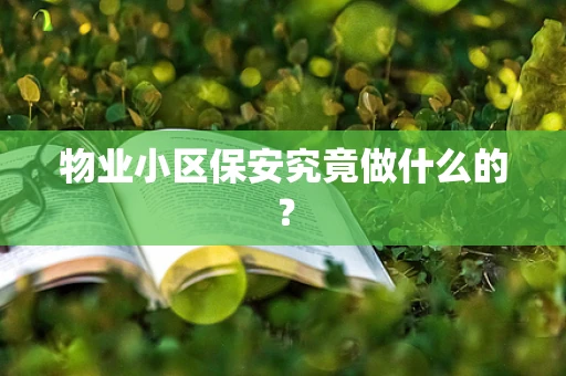 物业小区保安究竟做什么的？