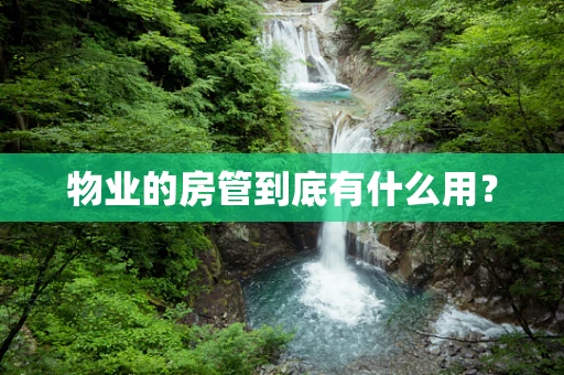 物业的房管到底有什么用？