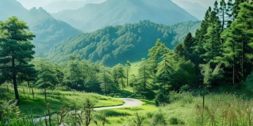 泰山绿色家园物业收费吗？