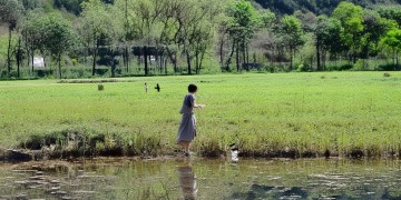 衡北村物业真的管事吗？