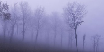 旭光公寓物业真的可靠吗？