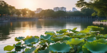 东湖物业属于国企吗？